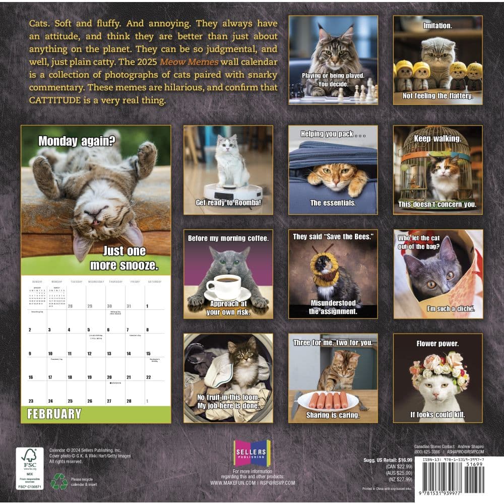 Meow Memes 2025 Wall Calendar First Alternate Image width=&quot;1000&quot; height=&quot;1000&quot;