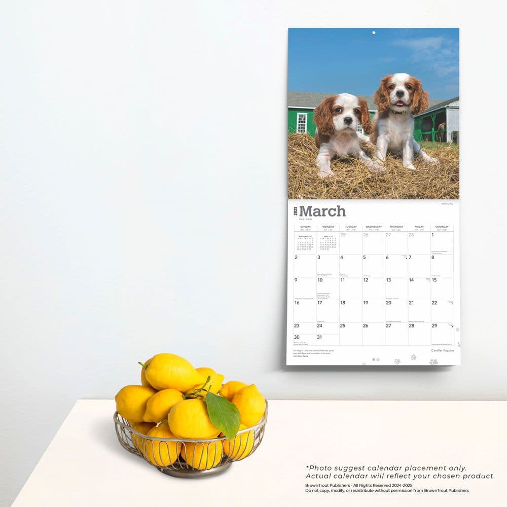 Cavalier King Charles Puppies 2025 Wall Calendar Third Alternate Image width=&quot;1000&quot; height=&quot;1000&quot;