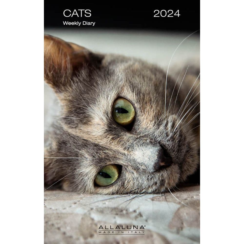 image Cats 2024 Weekly Planner