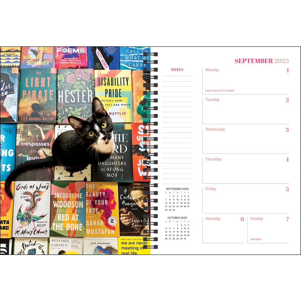 Cats and Books 2025 Weekly Planner Fourth Alternate Image width=&quot;1000&quot; height=&quot;1000&quot;