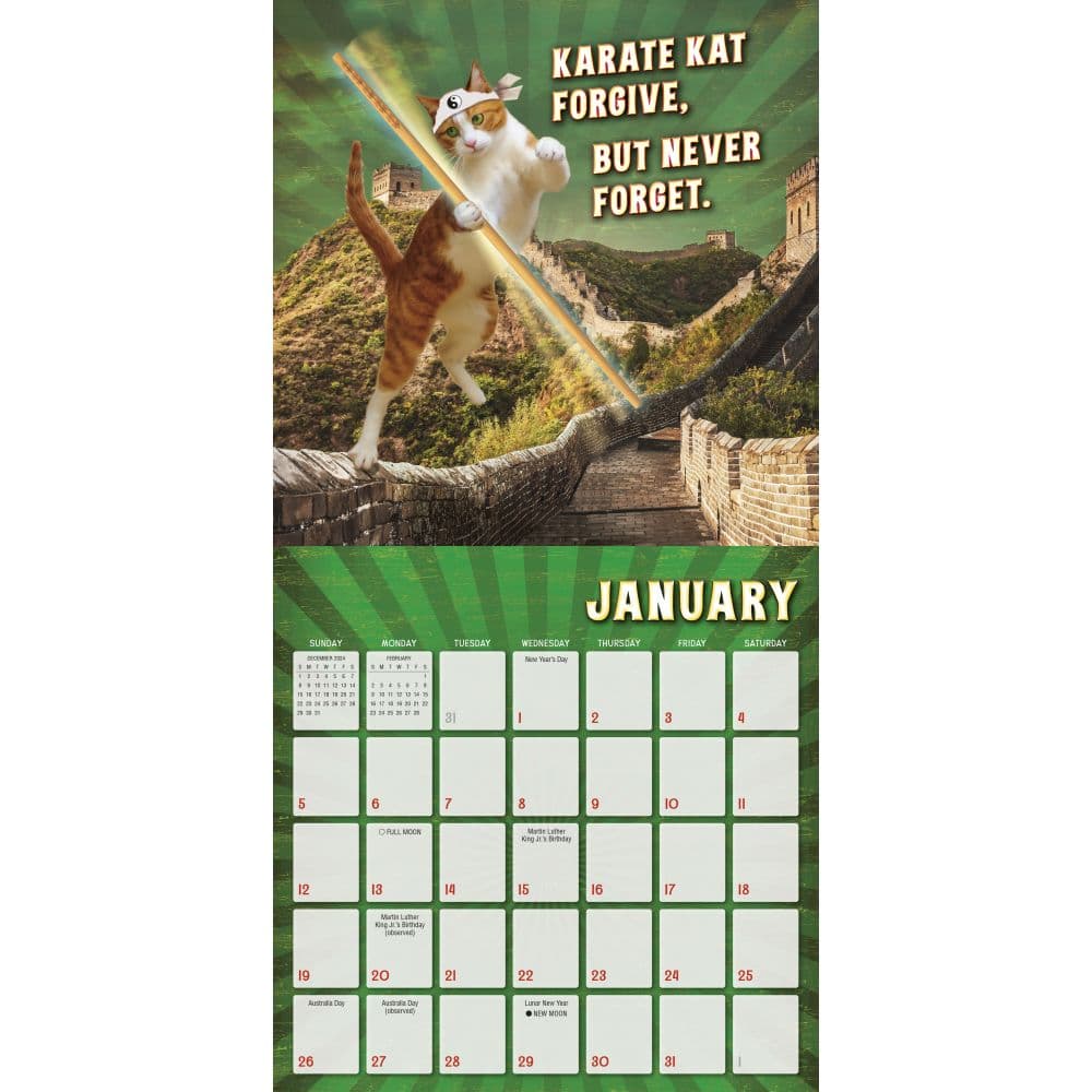 Karate Kat 2025 Wall Calendar Second Alternate Image width=&quot;1000&quot; height=&quot;1000&quot;