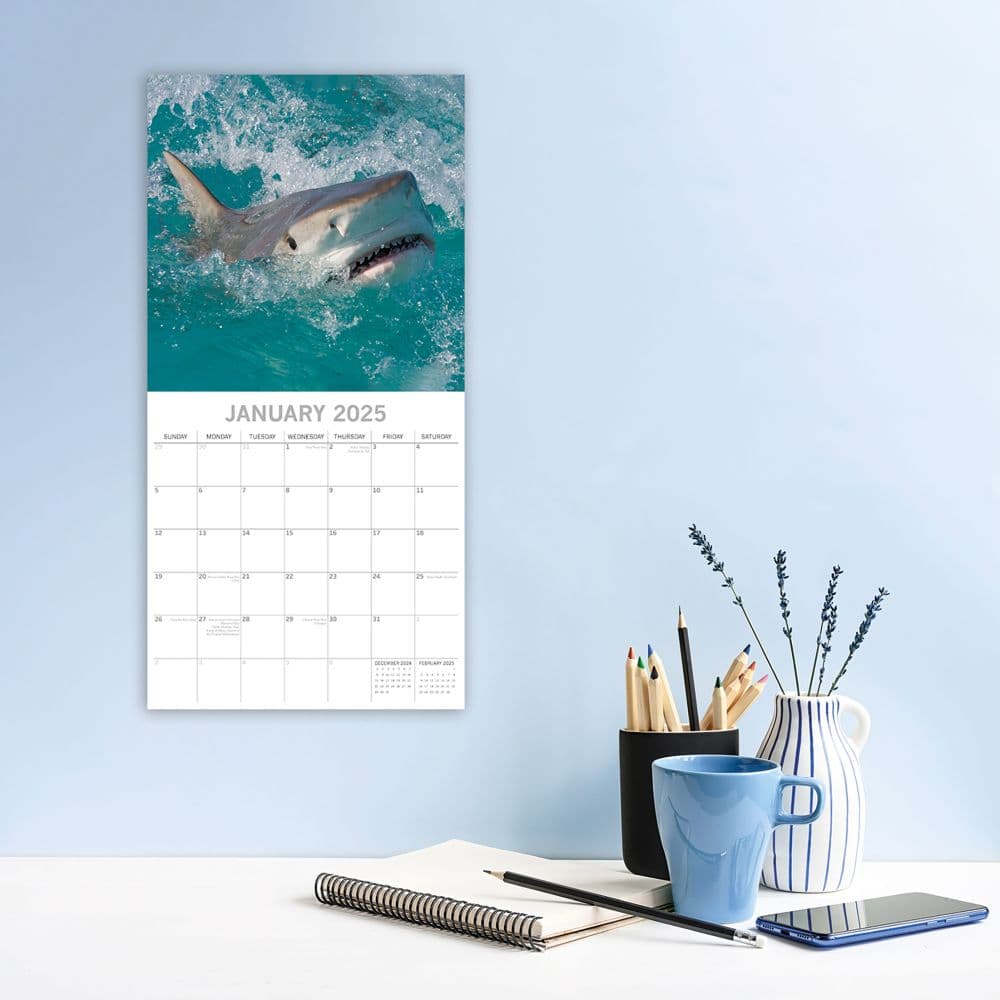 Sharks 2025 Wall Calendar Second Alternate Image width=&quot;1000&quot; height=&quot;1000&quot;