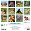 image American Quarter Horses 2025 Wall Calendar First Alternate Image width=&quot;1000&quot; height=&quot;1000&quot;