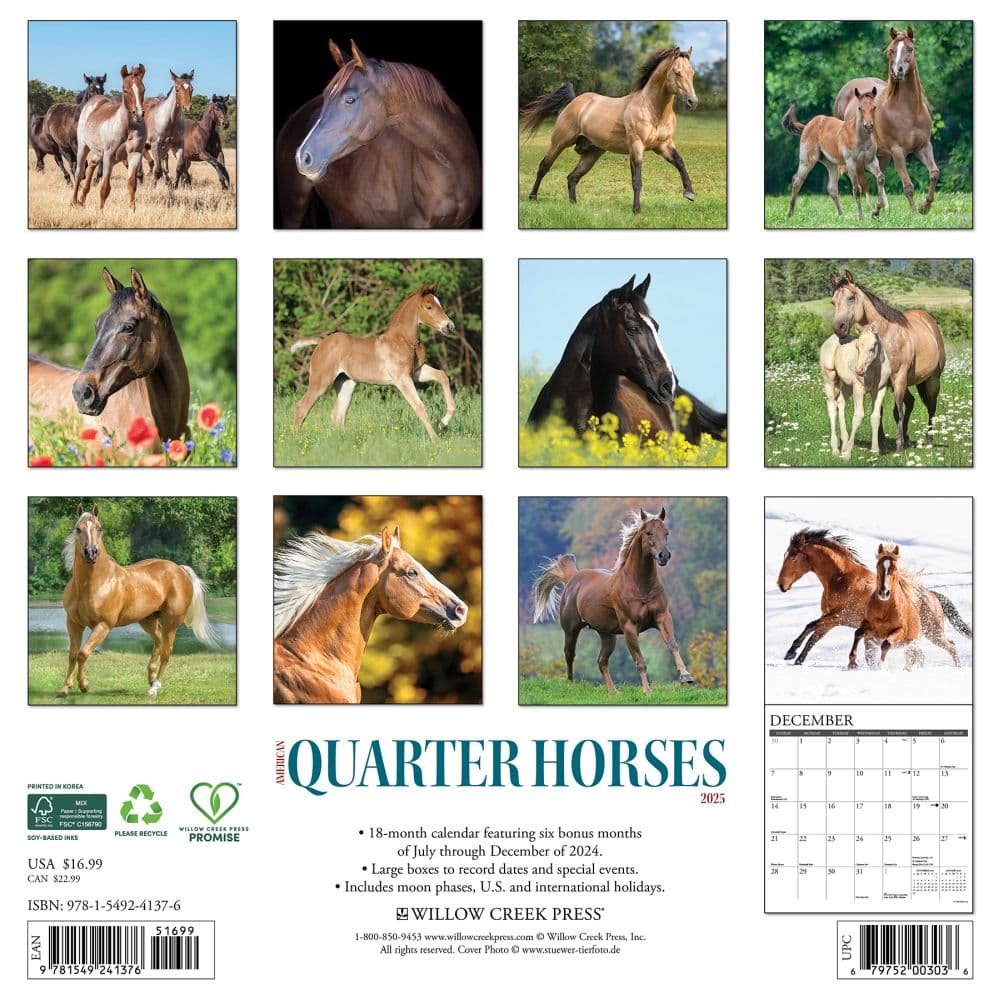 American Quarter Horses 2025 Wall Calendar First Alternate Image width=&quot;1000&quot; height=&quot;1000&quot;