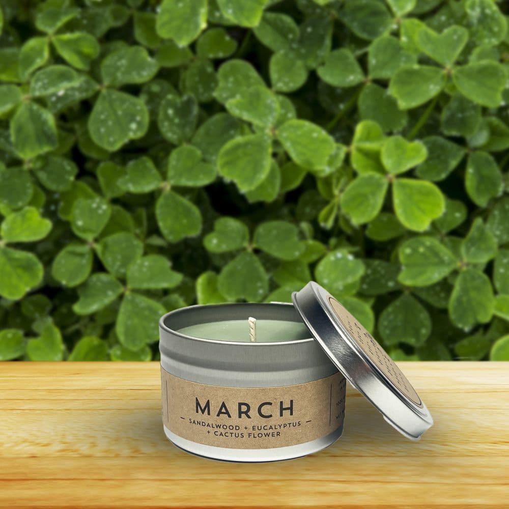 March Candle -  Sandalwood + Eucalyptus Main image