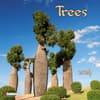 image Trees 2024 Wall Calendar Main Product Image width=&quot;1000&quot; height=&quot;1000&quot;