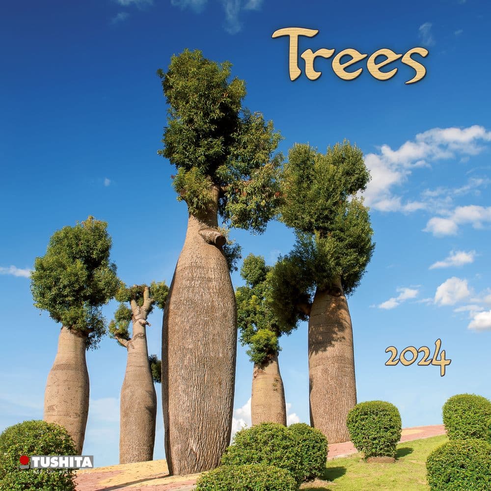 Trees 2024 Wall Calendar Main Product Image width=&quot;1000&quot; height=&quot;1000&quot;