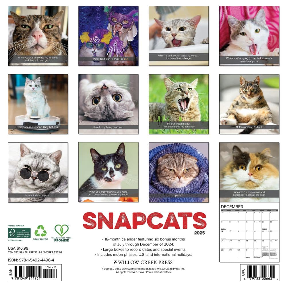 Snapcats 2025 Wall Calendar First Alternate
