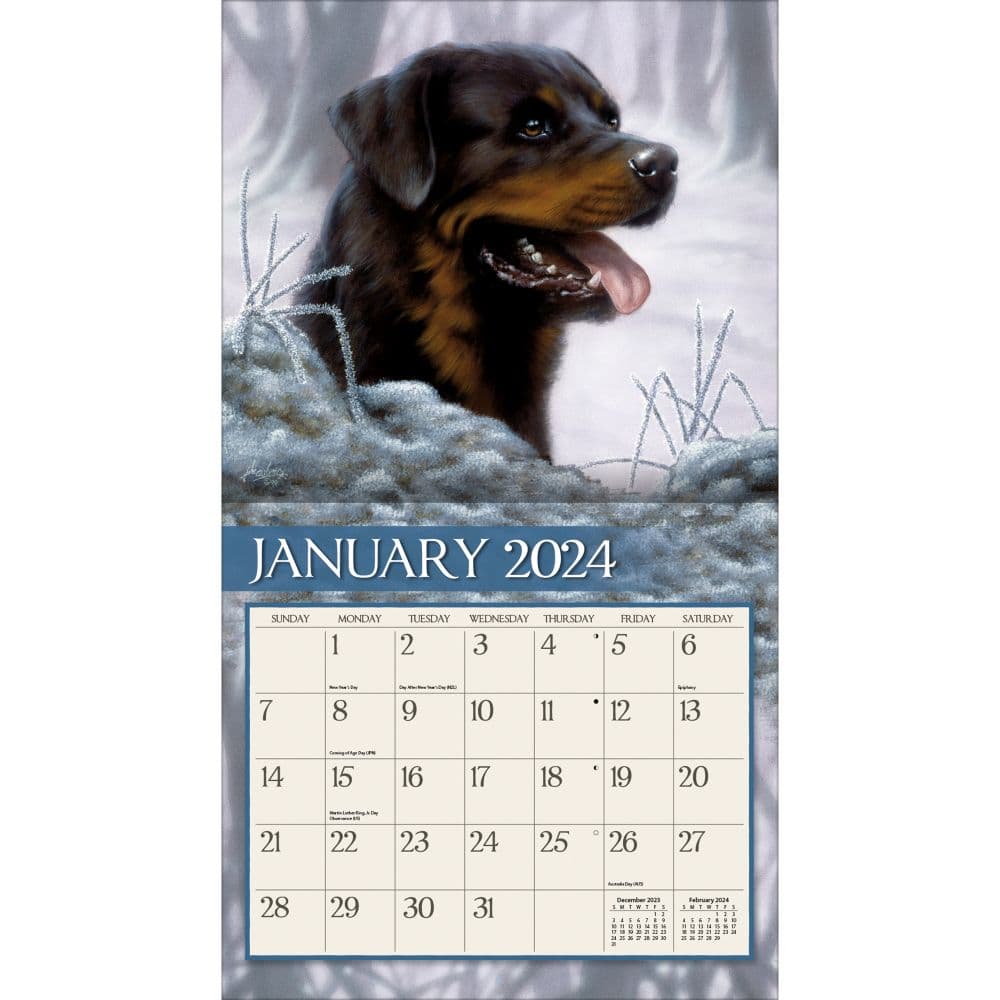 Love Of Dogs 2024 Wall Calendar Alternate Image 2