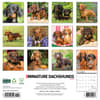 image Just Dachshunds 2025 Mini Wall Calendar First Alternate Image width=&quot;1000&quot; height=&quot;1000&quot;