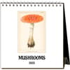 image Mushrooms 2025 Easel Calendar  Main Image