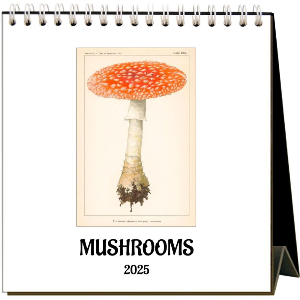image Mushrooms 2025 Easel Calendar  Main Image