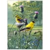 image Songbirds Special Edition 2025 Wall Calendar Third Alternate Image width=&quot;1000&quot; height=&quot;1000&quot;