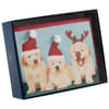 image Photo Puppies 10 Count Boxed Christmas Cards Fifth Alternate Image width=&quot;1000&quot; height=&quot;1000&quot;