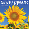 image Sunflowers 2025 Wall Calendar Main Product Image width=&quot;1000&quot; height=&quot;1000&quot;