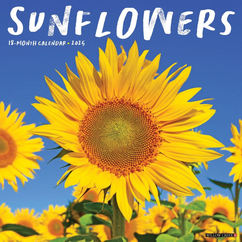 Sunflowers 2025 Wall Calendar Main Product Image width=&quot;1000&quot; height=&quot;1000&quot;