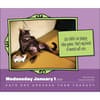 image Cats Are Cheaper Than Therapy 2025 Desk Calendar First Alternate Image width=&quot;1000&quot; height=&quot;1000&quot;