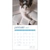 image Cats and Books 2025 Wall Calendar Second Alternate Image width=&quot;1000&quot; height=&quot;1000&quot;