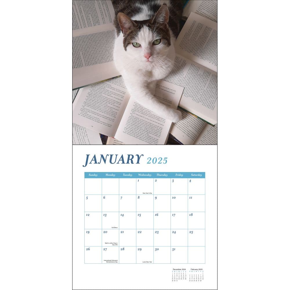 Cats and Books 2025 Wall Calendar Second Alternate Image width=&quot;1000&quot; height=&quot;1000&quot;