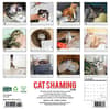 image Cat Shaming 2025 Wall Calendar