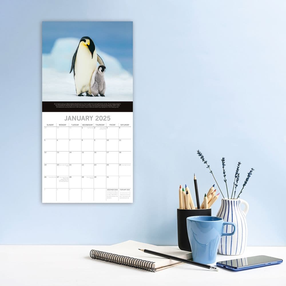 Save the Planet 2025 Wall Calendar Second Alternate Image width=&quot;1000&quot; height=&quot;1000&quot;