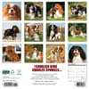 image Just Cavalier King Charles 2025 Wall Calendar First Alternate Image width=&quot;1000&quot; height=&quot;1000&quot;
