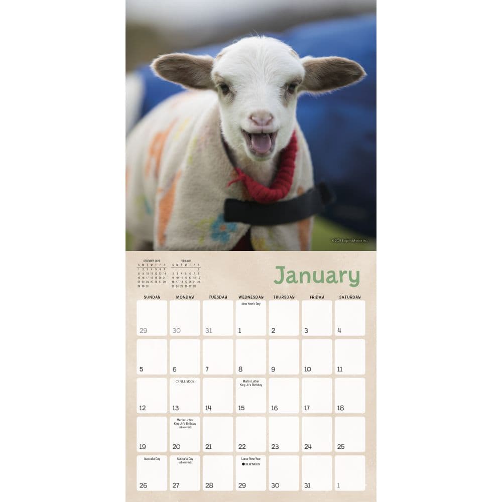 Lambies in Jammies 2025 Mini Wall Calendar Second Alternate Image width=&quot;1000&quot; height=&quot;1000&quot;