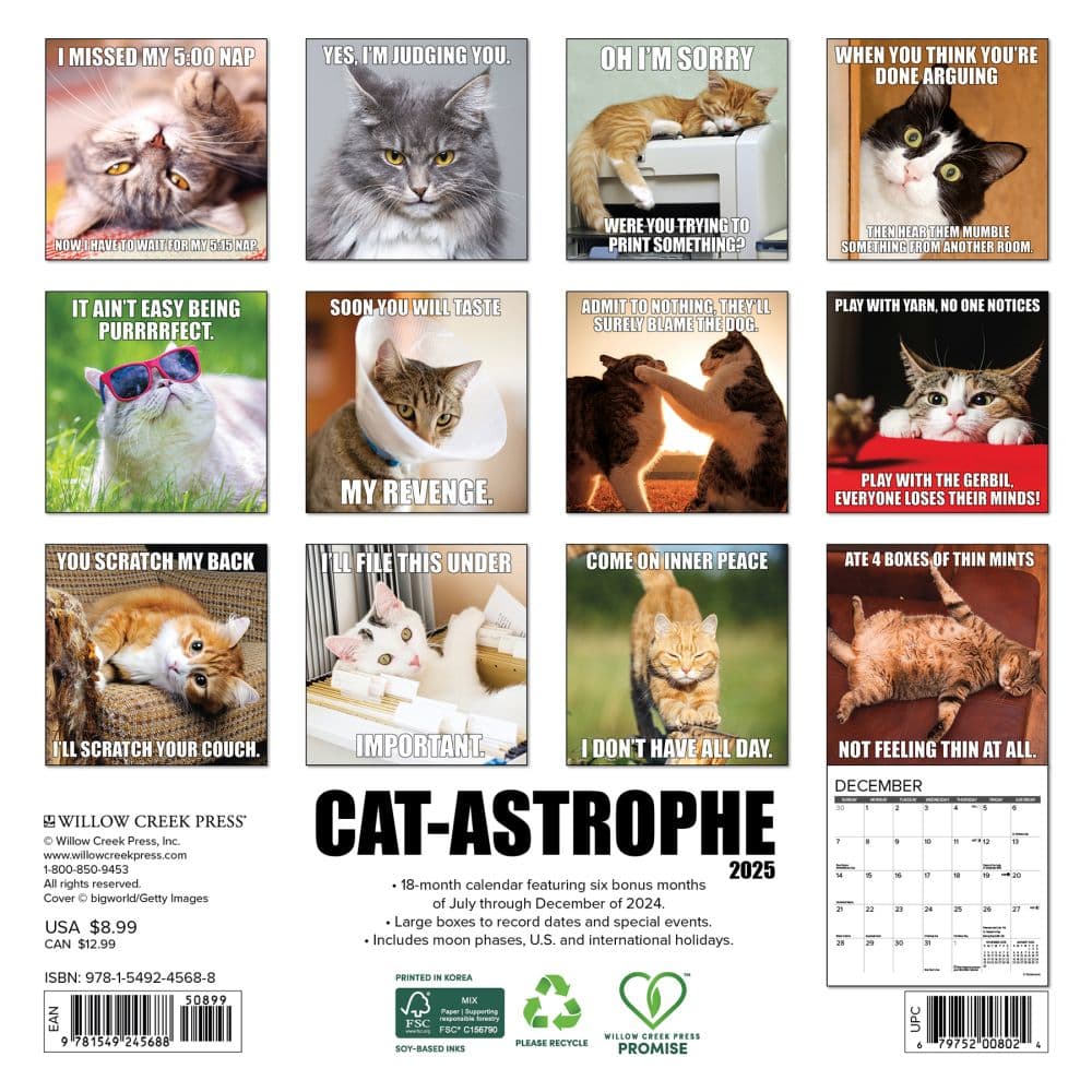Cat Astrophe 2025 Mini Wall Calendar First Alternate Image width=&quot;1000&quot; height=&quot;1000&quot;