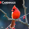 image Cardinals 2025 Wall Calendar  Main Image