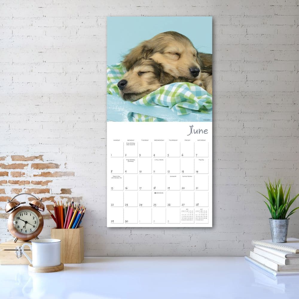 Pooped Puppies 2025 Wall Calendar Fourth Alternate Image width=&quot;1000&quot; height=&quot;1000&quot;
