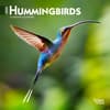 image Hummingbirds 2025 Mini Wall Calendar  Main Image