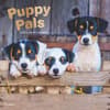 image Puppy Pals Plato 2025 Wall Calendar Main Product Image width=&quot;1000&quot; height=&quot;1000&quot;