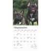 image French Bulldogs 2025 Mini Wall Calendar Third Alternate Image width=&quot;1000&quot; height=&quot;1000&quot;