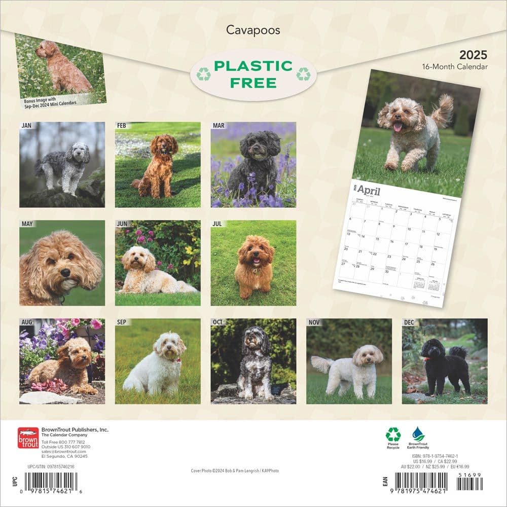 Cavapoos 2025 Wall Calendar First Alternate Image width=&quot;1000&quot; height=&quot;1000&quot;