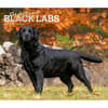 image For the Love of Labrador Retrievers 2025 Wall Calendar Main Product Image width=&quot;1000&quot; height=&quot;1000&quot;