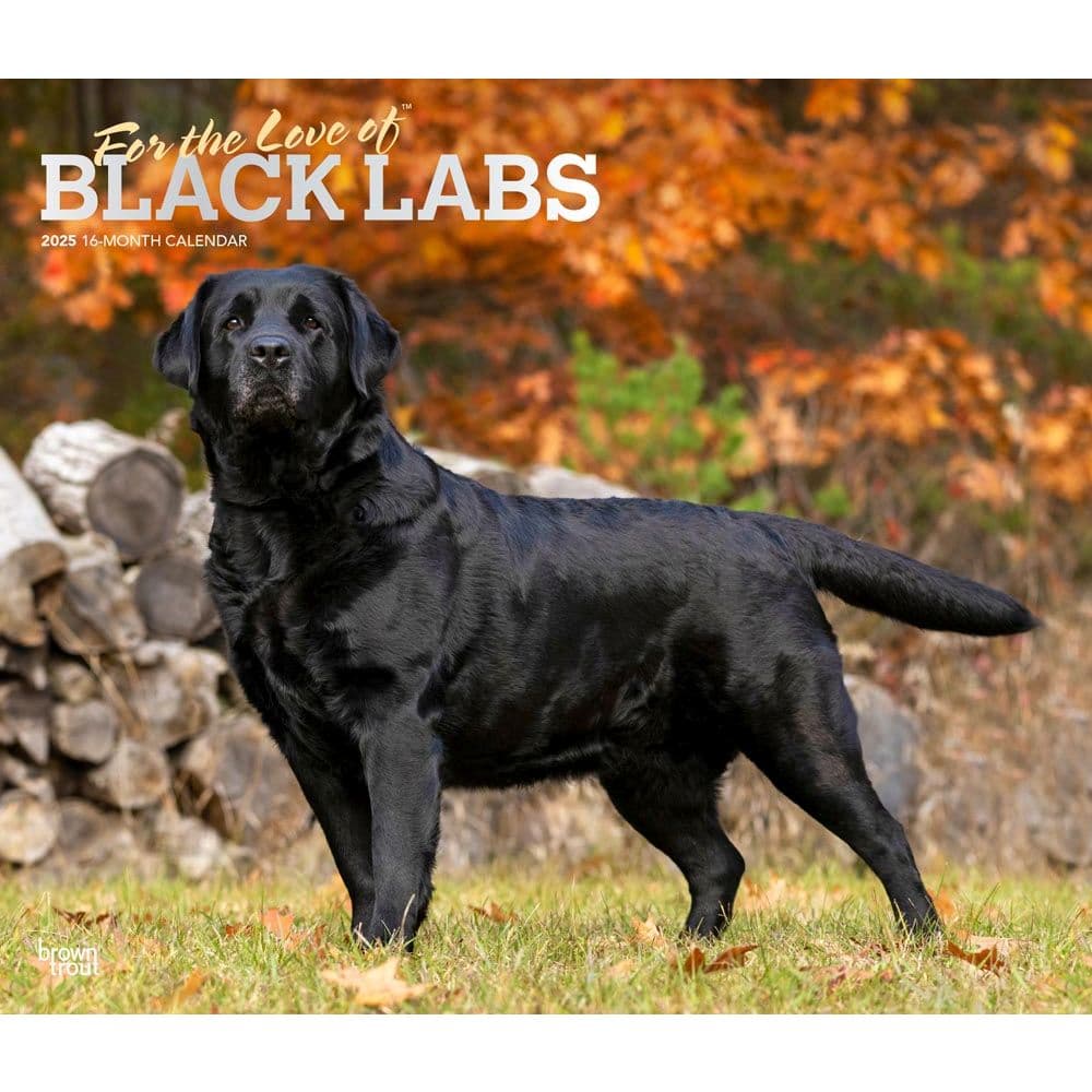 For the Love of Labrador Retrievers 2025 Wall Calendar Main Product Image width=&quot;1000&quot; height=&quot;1000&quot;