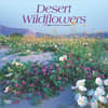 image Desert Wildflowers 2025 Wall Calendar Main Image