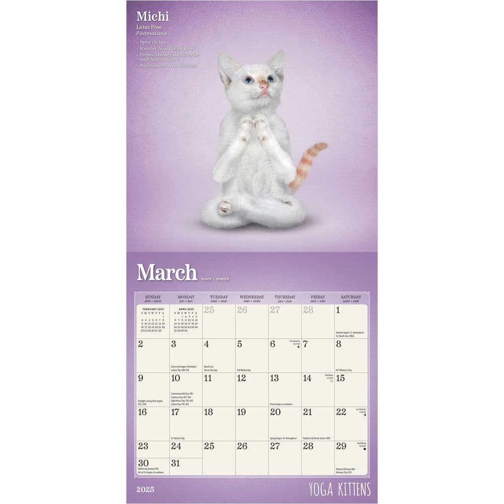 Yoga Kittens 2025 Mini Wall Calendar First Alternate  Image width=&quot;1000&quot; height=&quot;1000&quot;