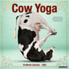 image Cow Yoga 2025 Wall Calendar Main Image