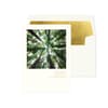 image Photo Looking Up Through Tree Friendship Card Main Product Image width=&quot;1000&quot; height=&quot;1000&quot;