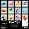 image Cow Yoga 2025 Wall Calendar