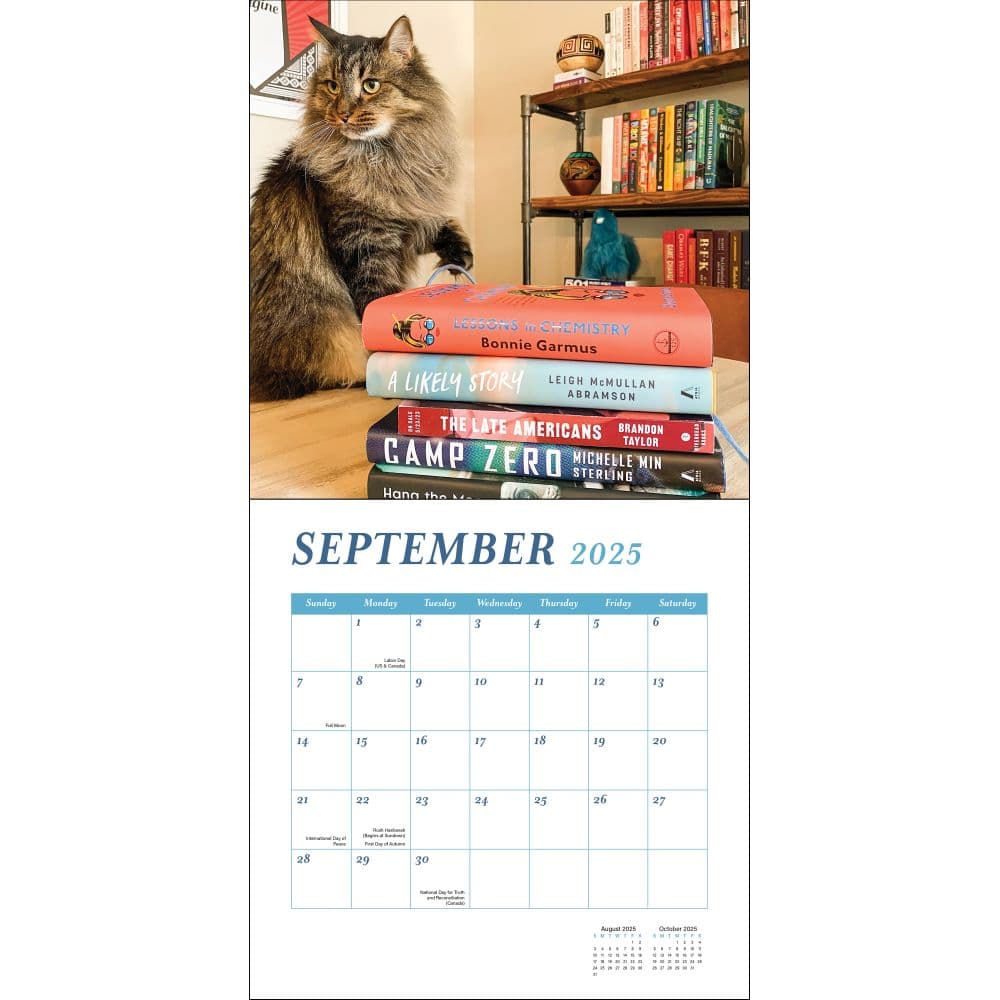 Cats and Books 2025 Wall Calendar Fourth Alternate Image width=&quot;1000&quot; height=&quot;1000&quot;