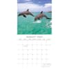 image Dolphins 2025 Wall Calendar Third Alternate Image width=&quot;1000&quot; height=&quot;1000&quot;