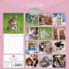 image Cats and Kittens 2025 Wall Calendar First Alternate Image width=&quot;1000&quot; height=&quot;1000&quot;
