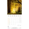 image Deep Forest 2024 Wall Calendar Second Alternate Image width=&quot;1000&quot; height=&quot;1000&quot;
