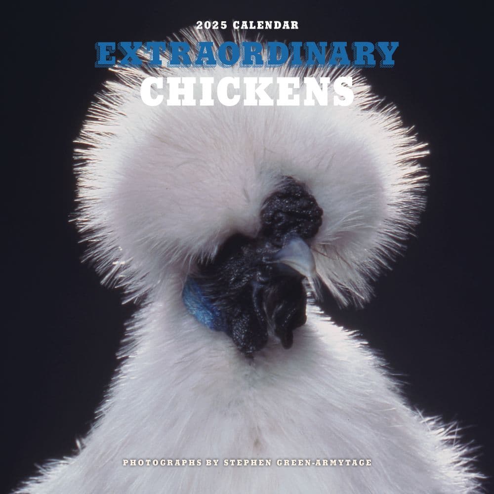 Extraordinary Chickens 2025 Wall Calendar Main Product Image width=&quot;1000&quot; height=&quot;1000&quot;