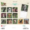 image Labradoodles 2025 Wall Calendar First Alternate Image width=&quot;1000&quot; height=&quot;1000&quot;