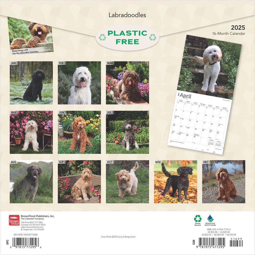 Labradoodles 2025 Wall Calendar First Alternate Image width=&quot;1000&quot; height=&quot;1000&quot;
