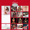 image Lingerie 2025 Wall Calendar First Alternate Image width=&quot;1000&quot; height=&quot;1000&quot;