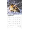 image Baby Animals 2025 Wall Calendar